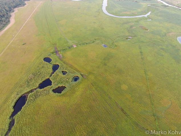 Laeva river, Aiu floodplain, before restoring 