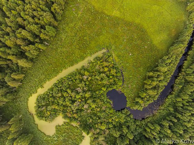 Laeva river, Aiu floodplain, before restoring 