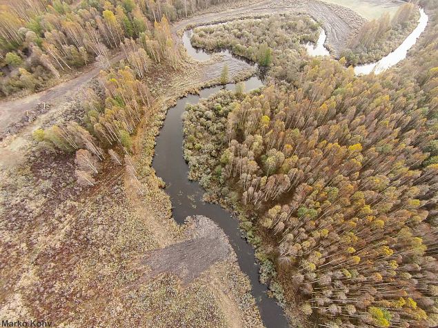 Laeva river, Aiu floodplain, after restoration 