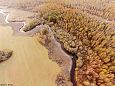 Project site, winter 2013 | Gallery Laeva river, Aiu floodplain, after restoration 