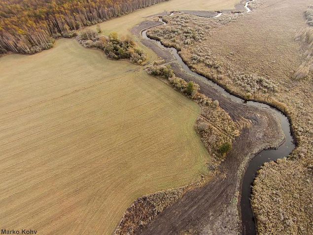 Laeva river, Aiu floodplain, after restoration 