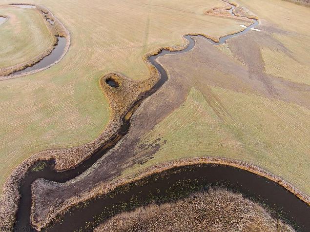 Laeva river, Aiu floodplain, after restoration 