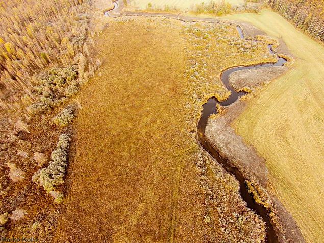 Laeva river, Aiu floodplain, after restoration 