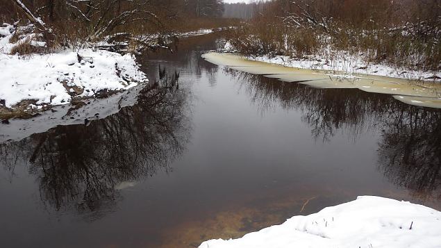 Laeva river, levi floodplain, after restoration 