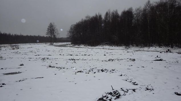 Laeva river, levi floodplain, after restoration 
