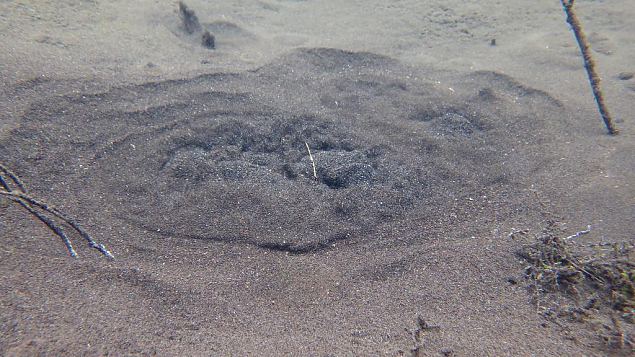 One of the Kiigumisa springs 