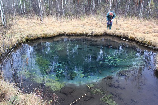 Bigest of the Kiigumisa springs 