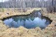 Iron and carbonate rich sediments, Kiigumisa | Gallery Bigest of the Kiigumisa springs 