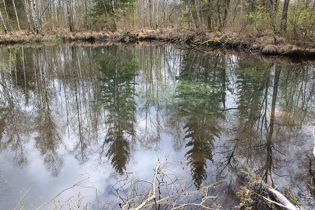 Spring lake, Kiigumisa, right bank of River Jgala 