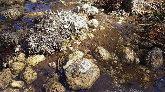 Tufa sediments, Viidume 