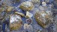 Bigest of the Kiigumisa springs | Gallery Tufa sediments on the stone, Viidume 