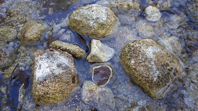 Tufa sediments on the stone, Viidume 