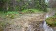 Beaver dam at th ditch, Kiigumisa | Gallery Springs and the brook, Viidume 