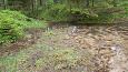 Beaver dam at th ditch, Kiigumisa | Gallery Springs, Viidume 