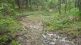 Beaver dam at th ditch, Kiigumisa | Gallery Spring brook, Viidume 