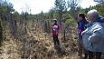 Bigest of the Kiigumisa springs | Gallery Expert Mari Reitalu,monitoring of the springfen, Viidum