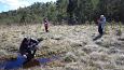 Beaver dam at th ditch, Kiigumisa | Gallery Experts, monitoring at the Viidume 