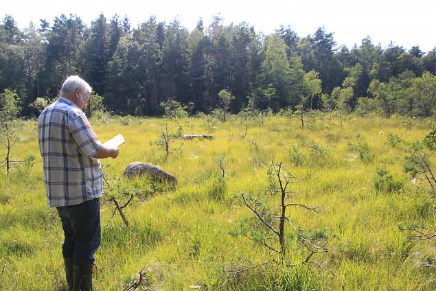 Small fen influenced by drainage, Viidume, july, 2014 