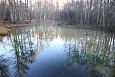 Spring and the brook, Kiigumisa | Gallery Suurallikas, Vormsi, December 2013 