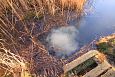 Beaver dam at th ditch, Kiigumisa | Gallery Tufa, spring on the coast of lake Prstvike, december