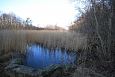 Ditch between the meliorated land (left) and edge of the spr.. | Gallery Outflow of lake Prästvike