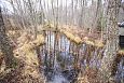 Tufa sediments, Viidume | Gallery Spring in the forest, NE lake Prstvike, december 2013 