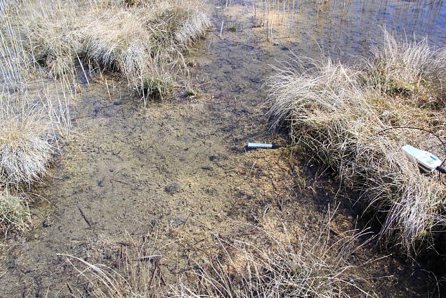 Tufa sediments on the Vormsi spring area, april, 2014 