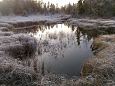 Spring brook, small island in lake Prästvike (E), december 2.. | Gallery One of Kiigumõisa springs