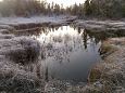 Tufa sediments, Viidume | Gallery One of Kiigumisa springs, november 2014 