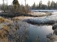 Tufa sediments on stone, Viidume | Gallery Kiigumisa springs, november 2014 