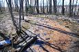 Bigest of the Kiigumisa springs | Gallery Spring on island, lake Prstviki, Vormsi, April 2014 