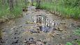 Tufa sediments on stone, Viidume | Gallery Spring in the forest, NE lake Prstviki, May 2014 