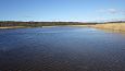 Beaver dam at th ditch, Kiigumisa | Gallery Lake Prstvike, October 2016 