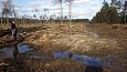 Beaver dam at th ditch, Kiigumisa | Gallery Closed ditch, restored springfen, October 2016 