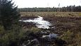 Tufa sediments on stone, Viidume | Gallery Closed ditch, restored springfen, October 2016 