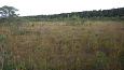 Beaver dam at th ditch, Kiigumisa | Gallery Springfen, Viidume, October 2016 