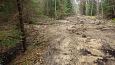 Tufa sediments, one of springs on Vormsi | Gallery Closed ditch, Viidume, October 2016 