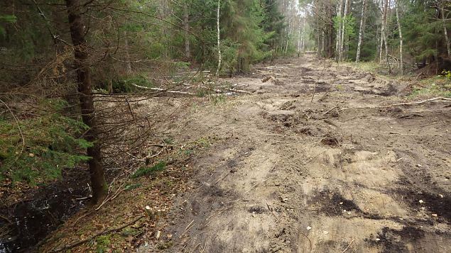 Closed ditch, Viidume, October 2016 