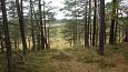 Ditch between the meliorated land (left) and edge of the spr.. | Gallery Former seashore, Viidumäe