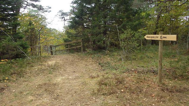 Restored nature trail, Viidume, October 2016 