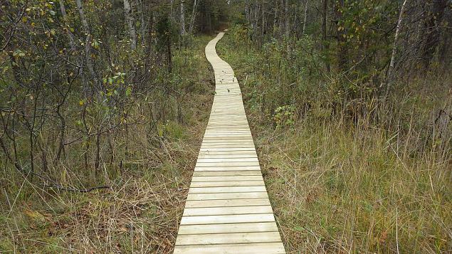 Restored nature trail, Viidumäe, October 2016 