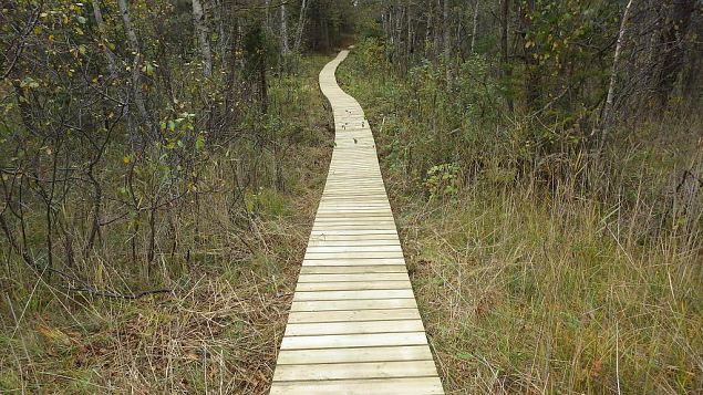 Restored nature trail, Viidume, October 2016 