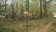 Common minnow (Phoxinus phoxinus) in spring, Kiigumõisa, nov.. | Gallery Restored nature trail, Vi