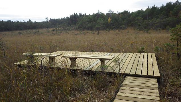 Restored nature trail, Viidume, October 2016 