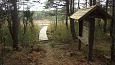 Beaver dam at th ditch, Kiigumisa | Gallery Restored nature trail, Viidume, October 2016 