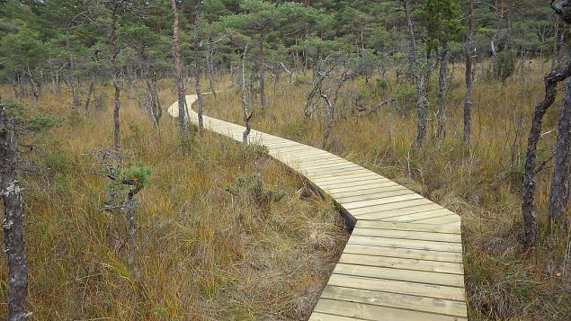 Restored nature trail, Viidume, October 2016 