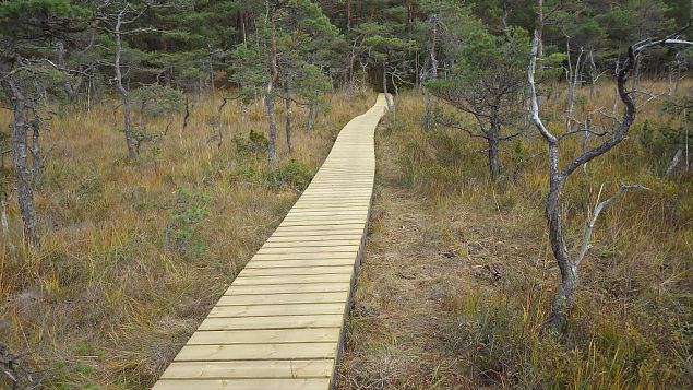 Restored nature trail, Viidume, October 2016 