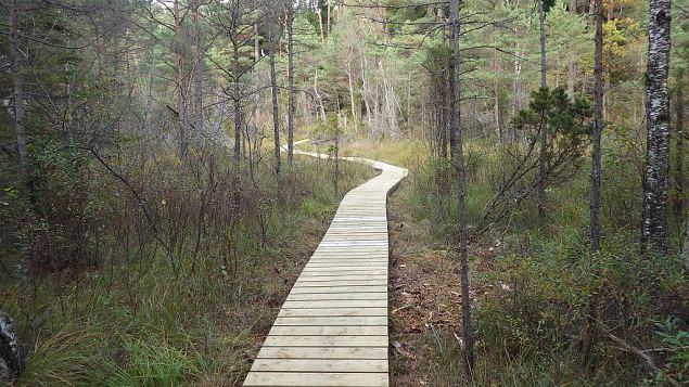 Restored nature trail, Viidumäe, October 2016 