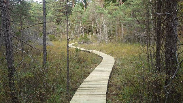 Restored nature trail, Viidume, October 2016 