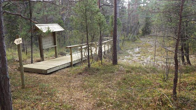 Petrifying spring and restored trail, Viidume, October 2016 